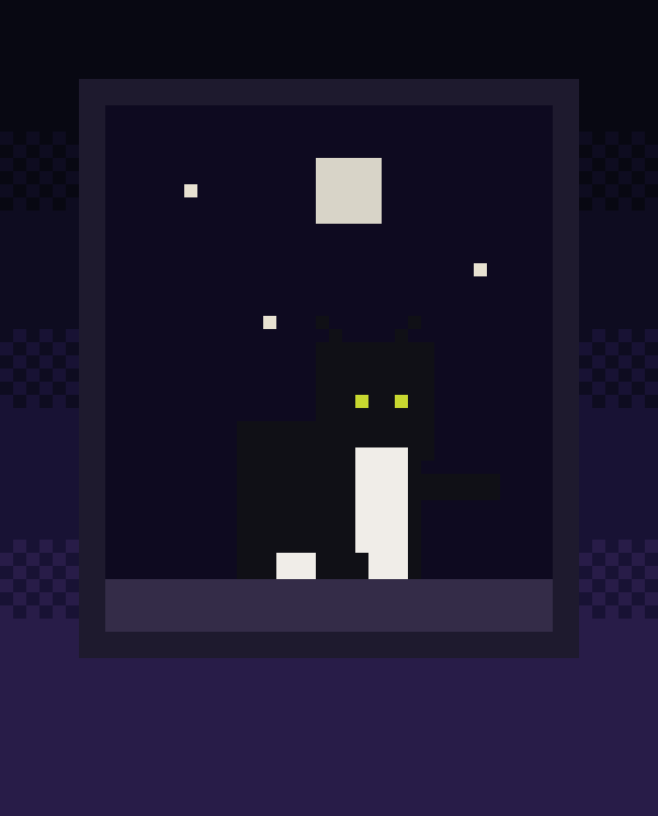 Tuxedo cat sitting in a dark window